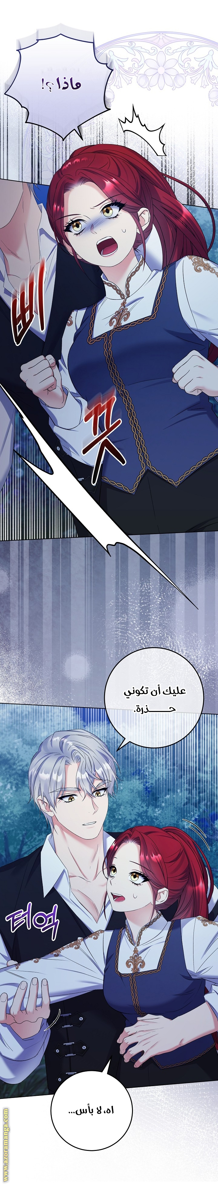الصفحة 26