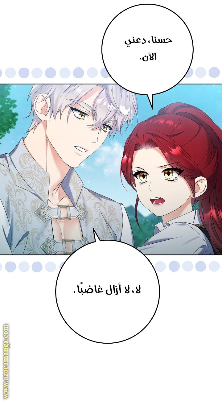الصفحة 20