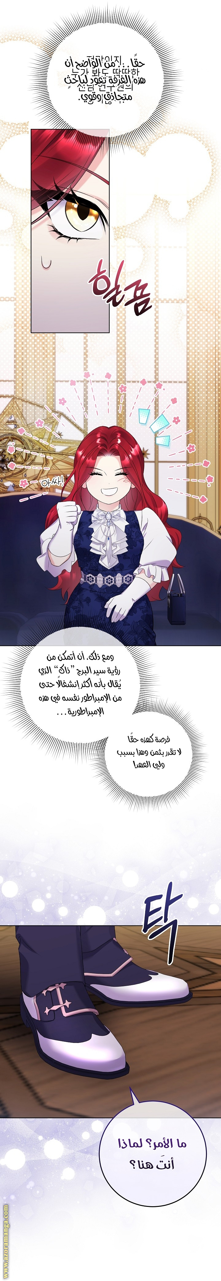 الصفحة 29
