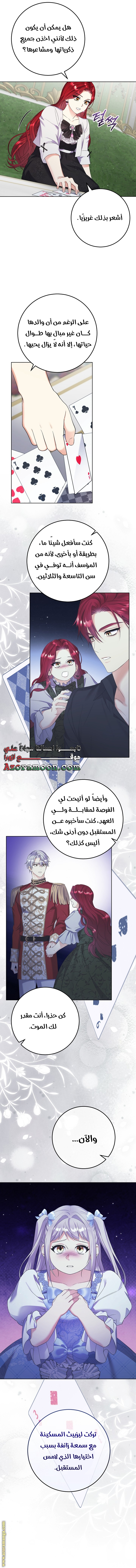 الصفحة 17