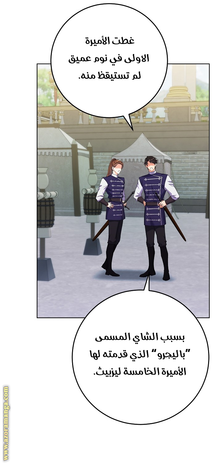 الصفحة 28