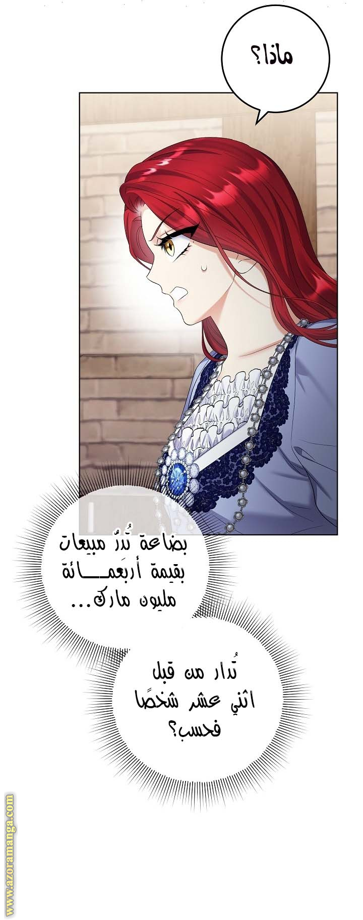 الصفحة 13