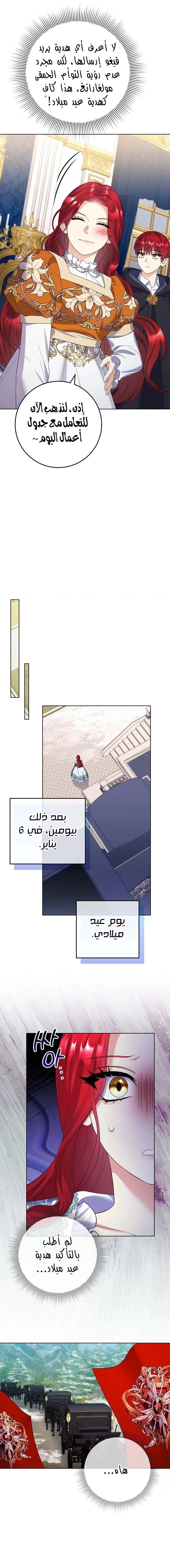الصفحة 15