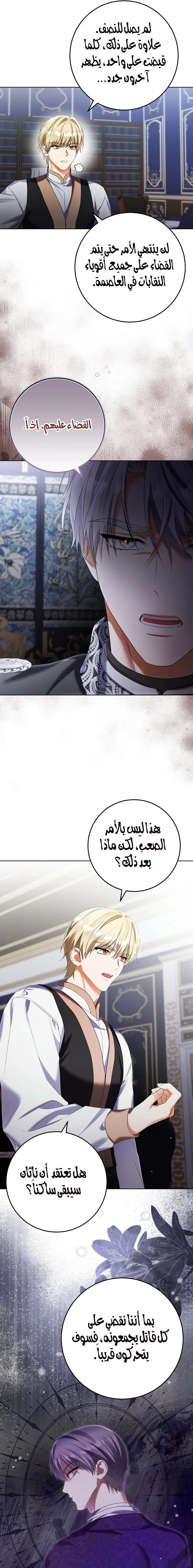 الصفحة 17