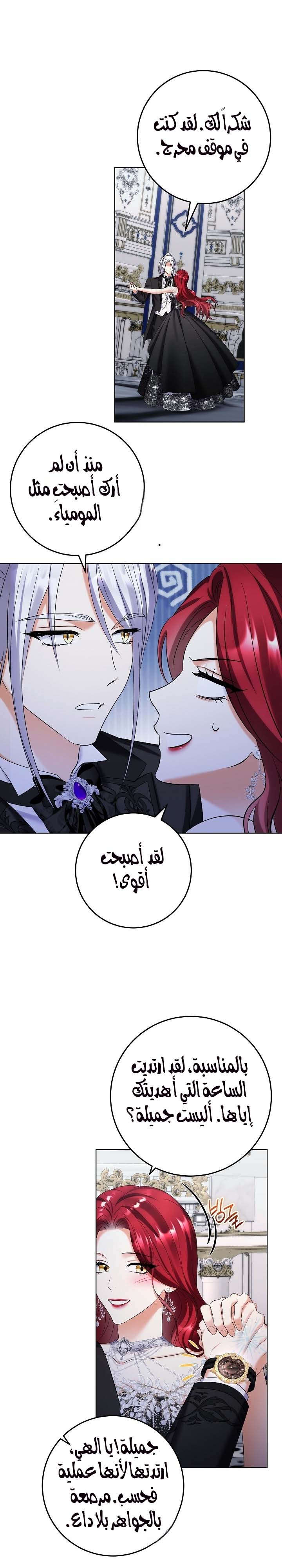 الصفحة 13