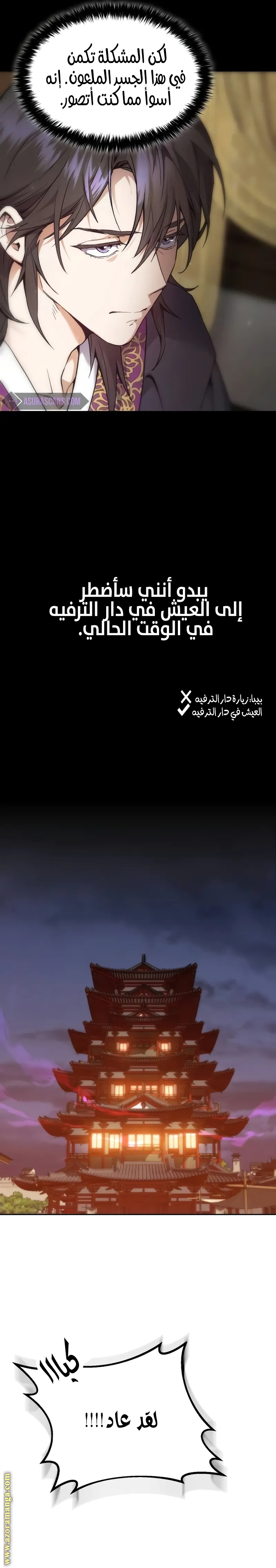 الصفحة 11