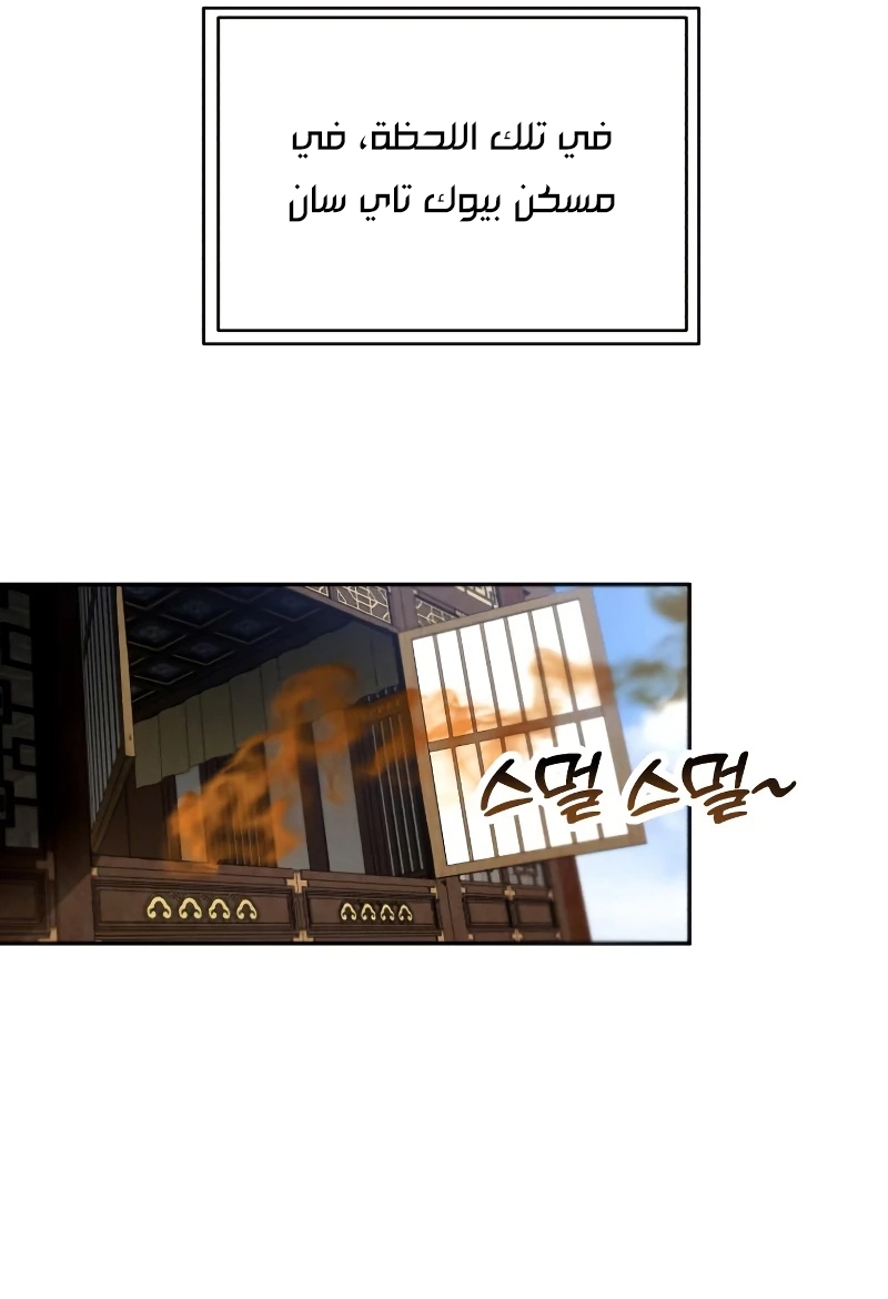 الصفحة 29