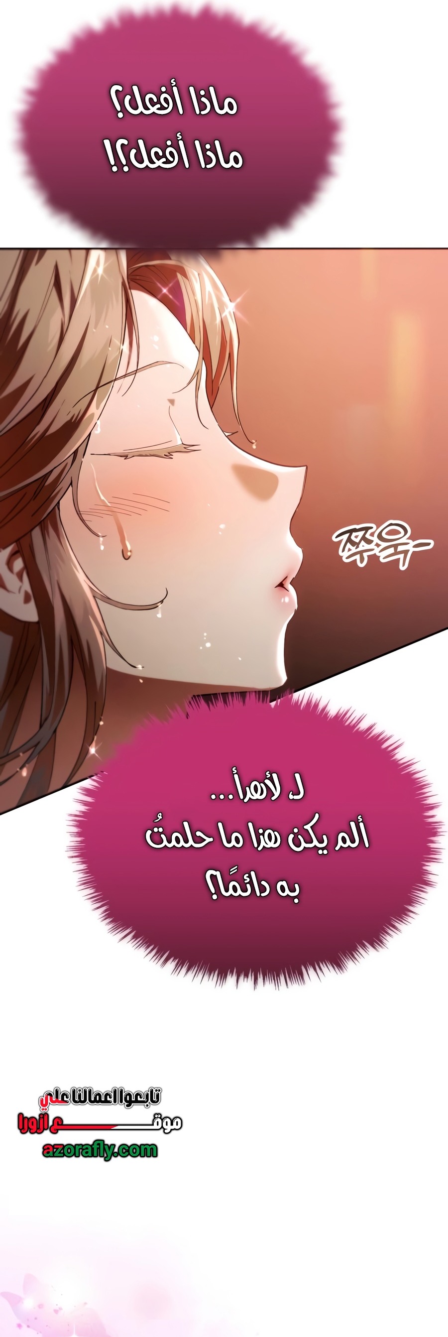 الصفحة 21