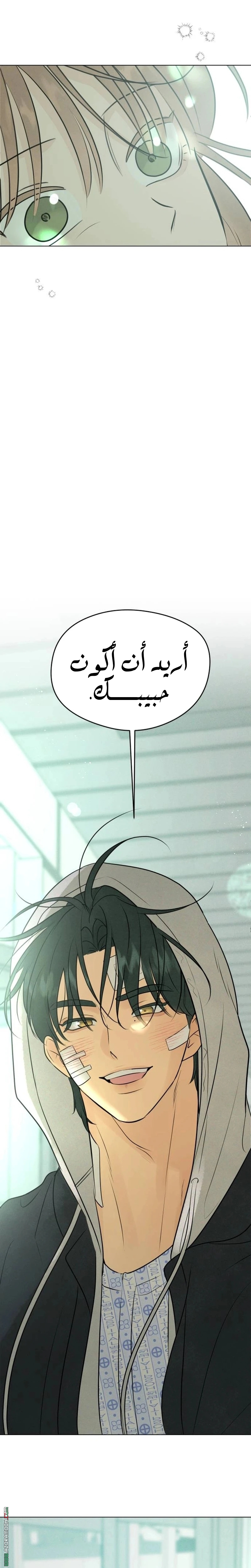 الصفحة 62