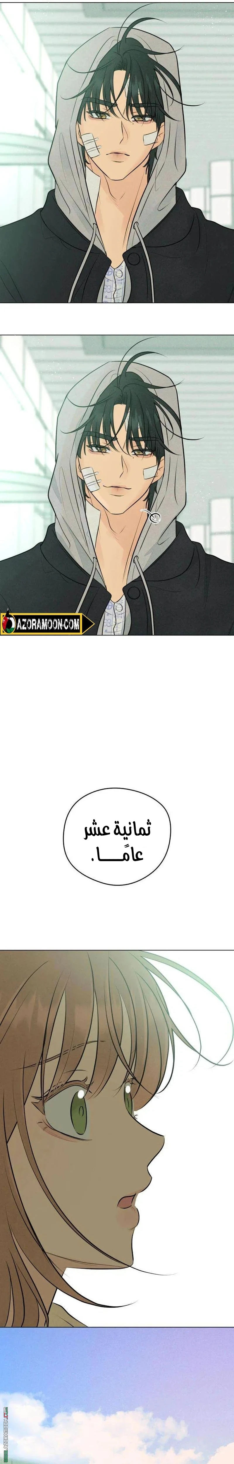الصفحة 12