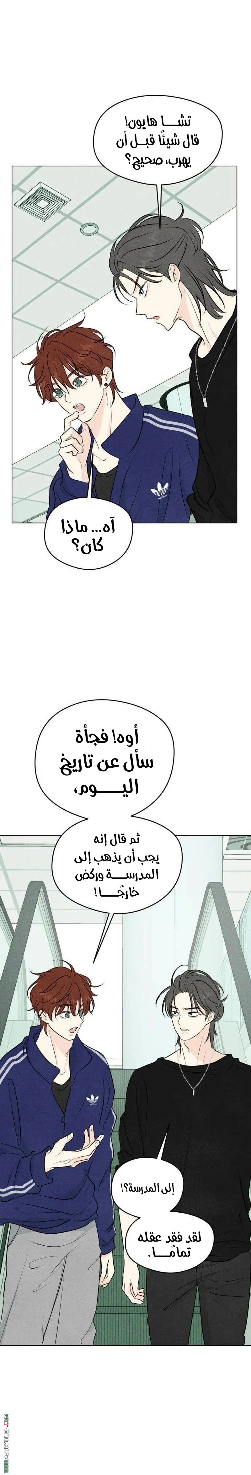 الصفحة 14