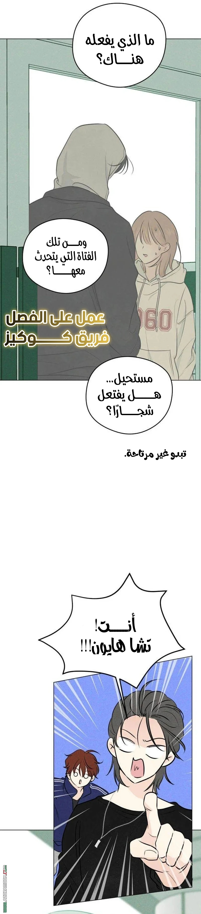 الصفحة 16