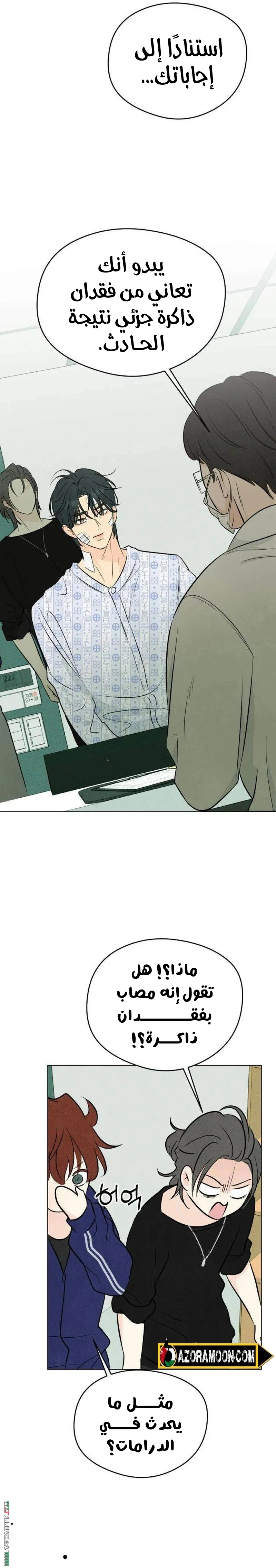 الصفحة 19