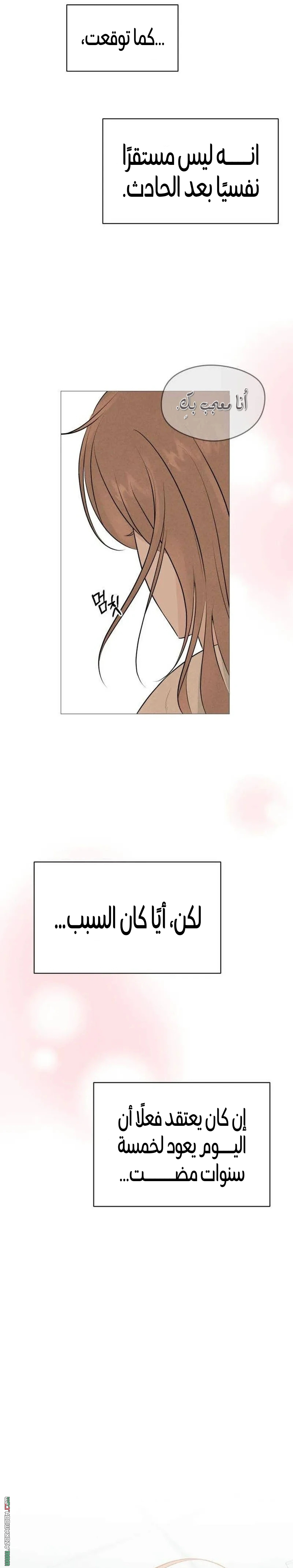 الصفحة 21