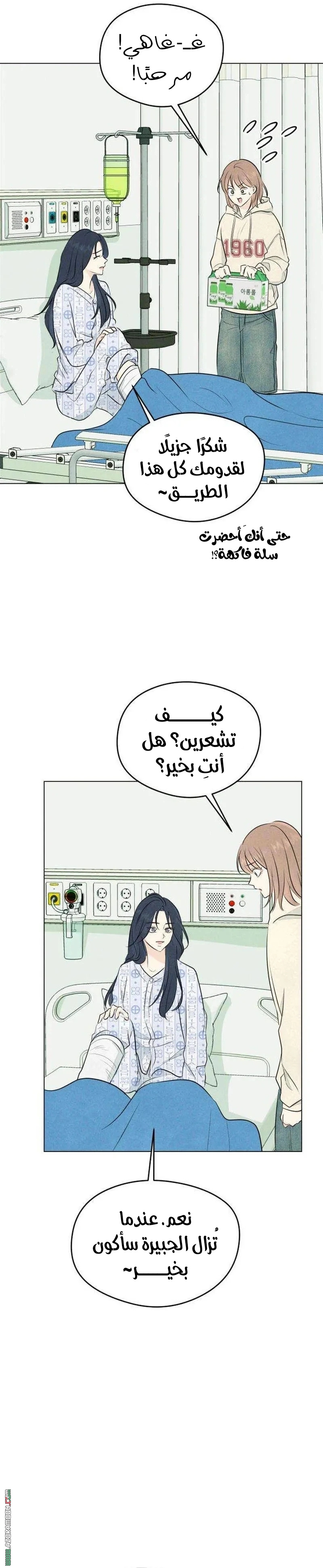 الصفحة 26