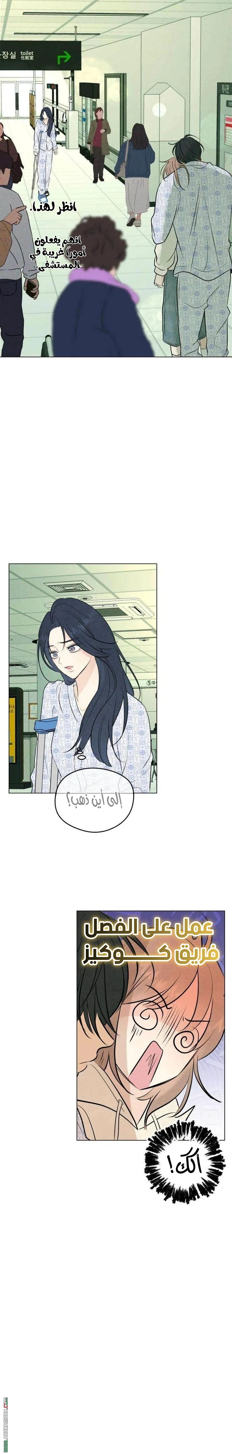 الصفحة 41