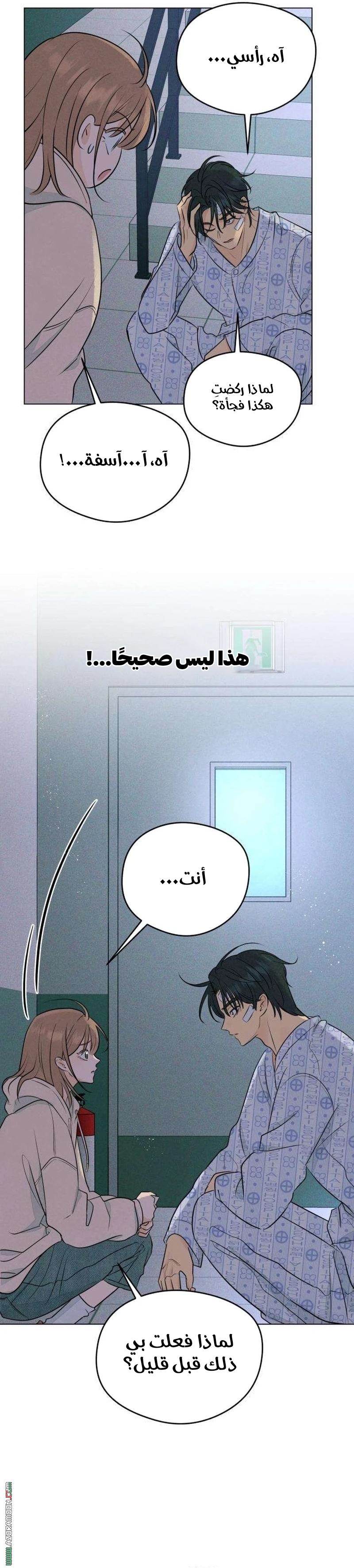 الصفحة 4