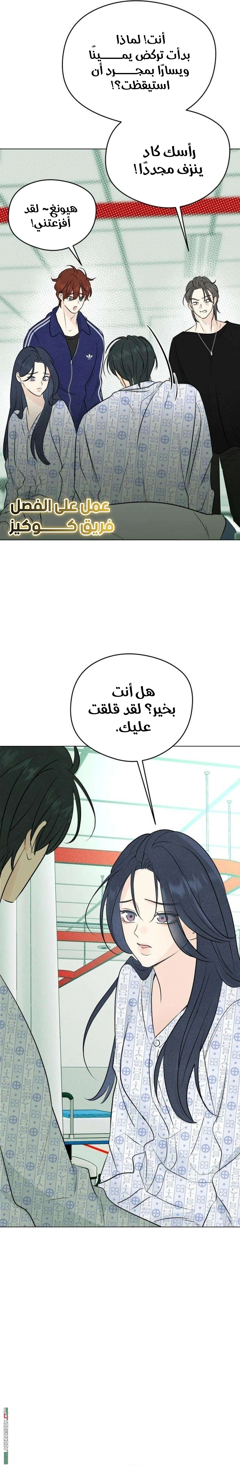 الصفحة 19
