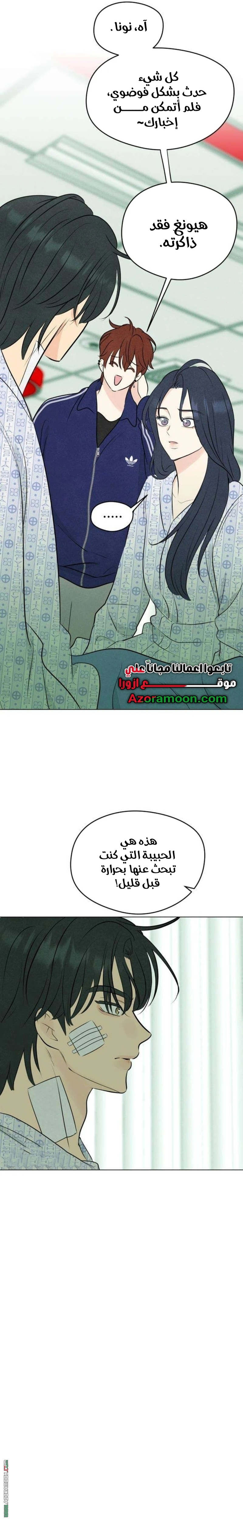 الصفحة 21
