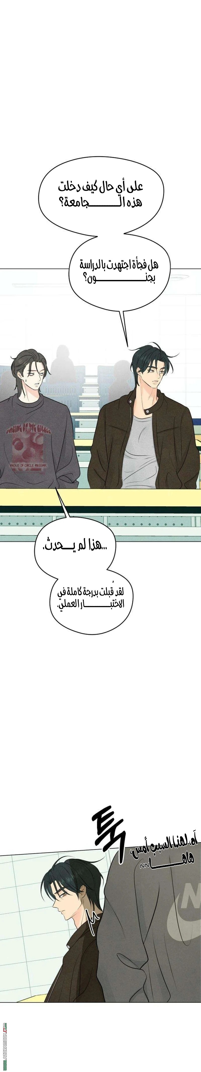 الصفحة 7