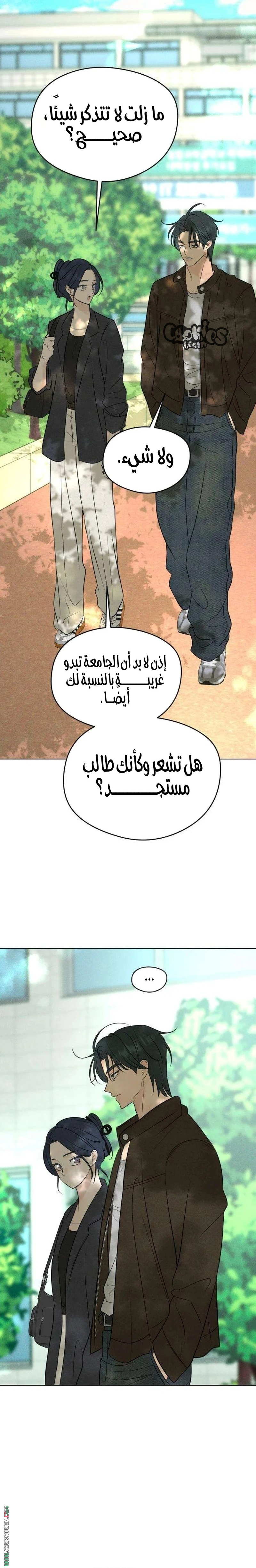 الصفحة 15