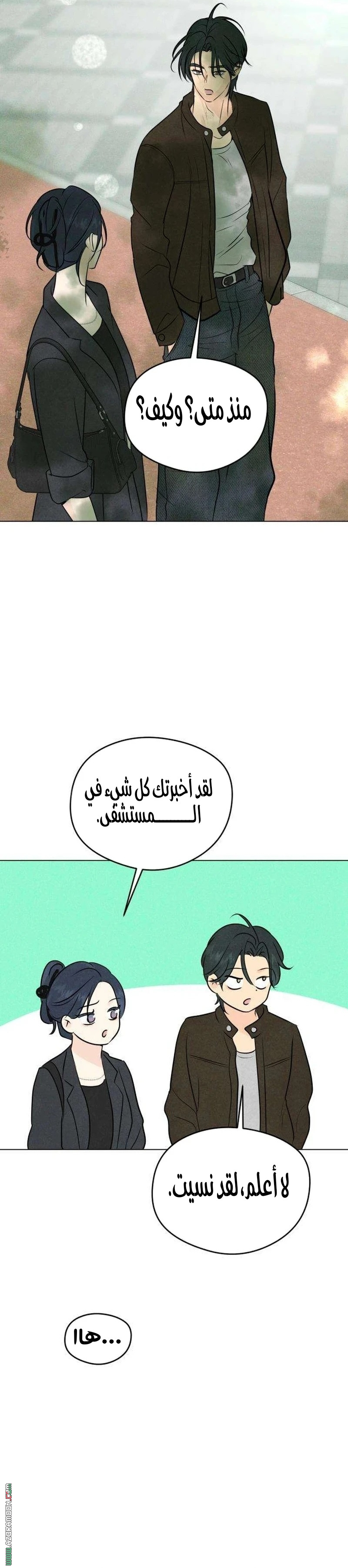 الصفحة 18