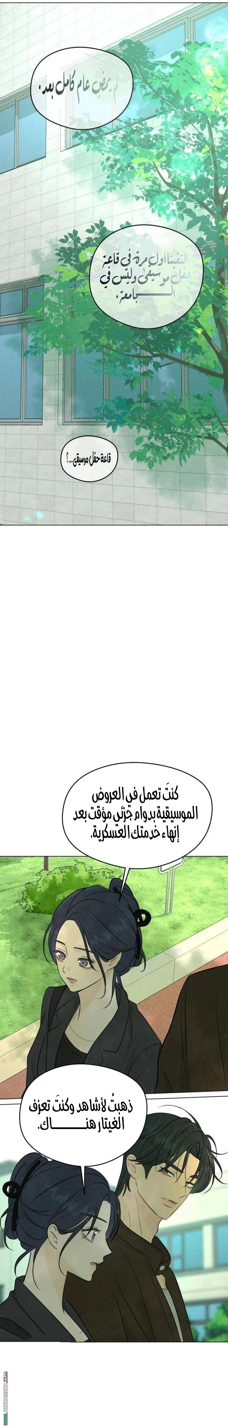 الصفحة 19