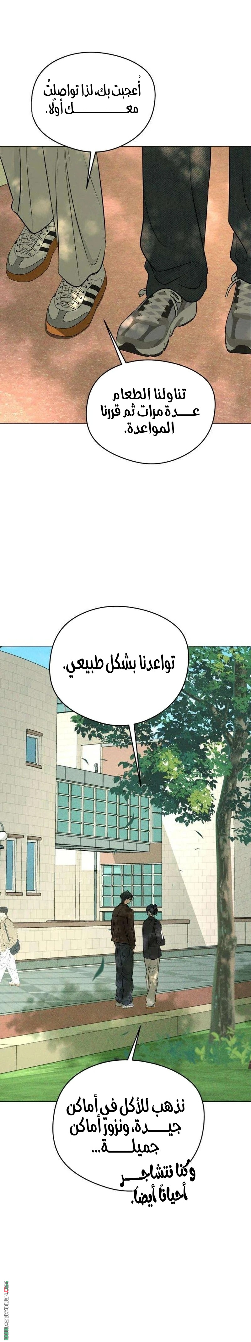 الصفحة 20