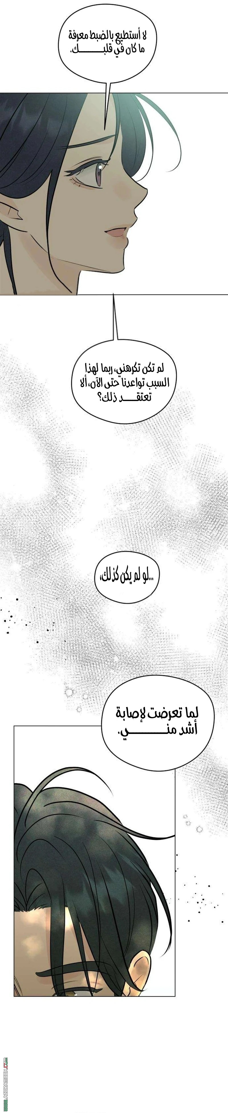 الصفحة 23
