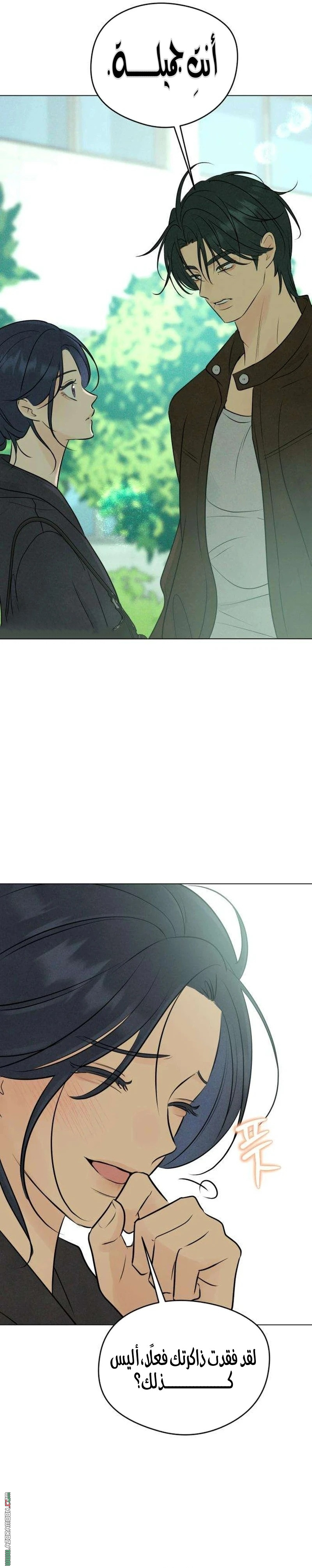 الصفحة 26