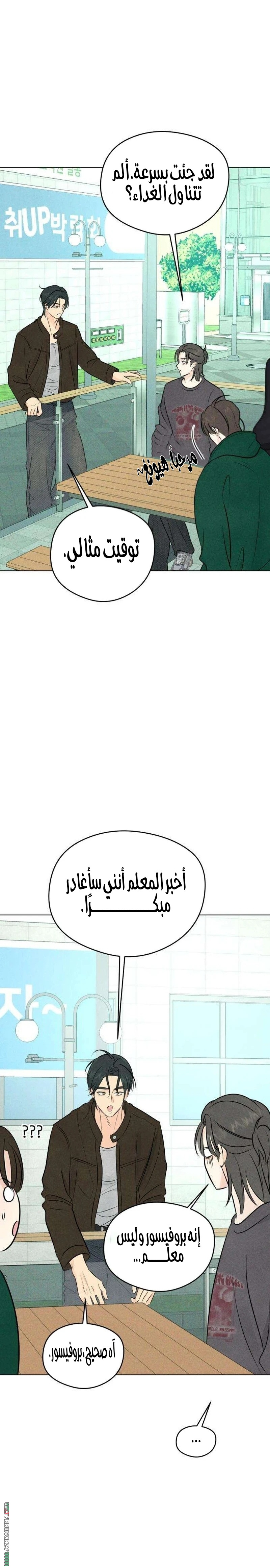 الصفحة 29