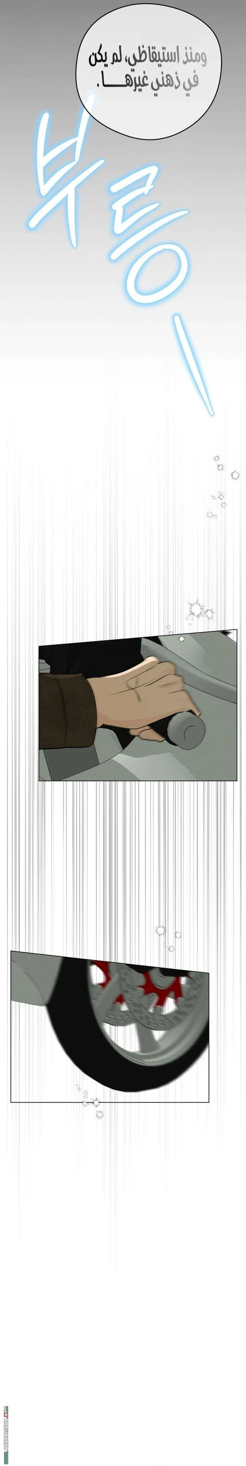 الصفحة 38