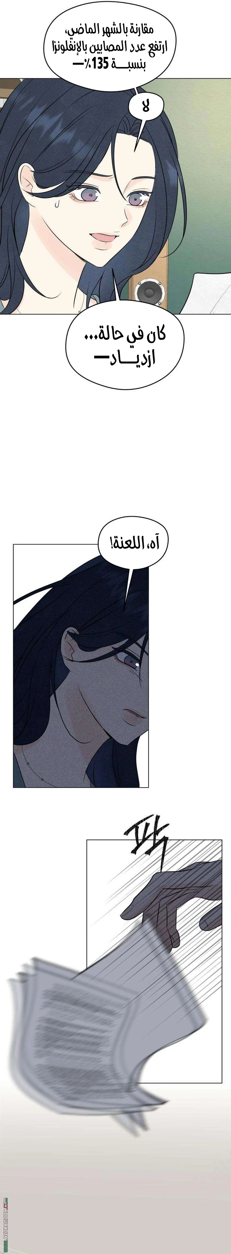 الصفحة 20
