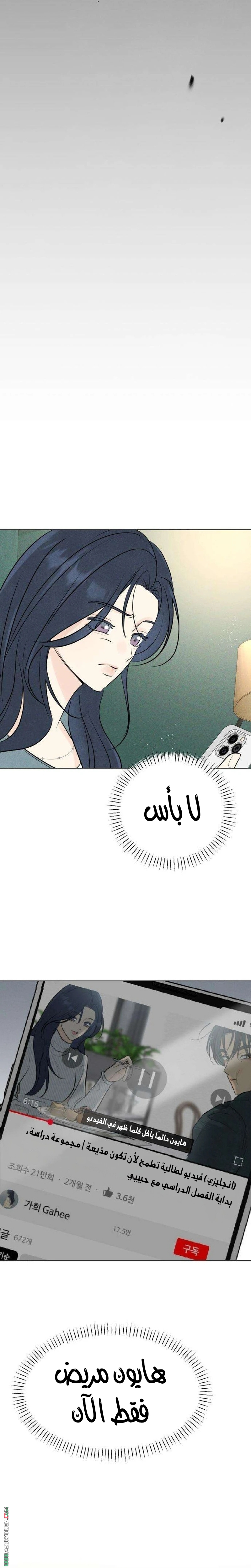 الصفحة 25