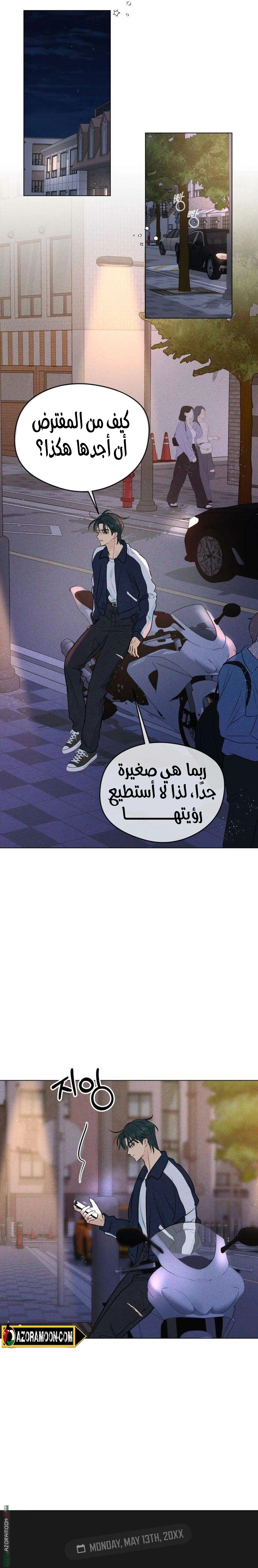 الصفحة 27