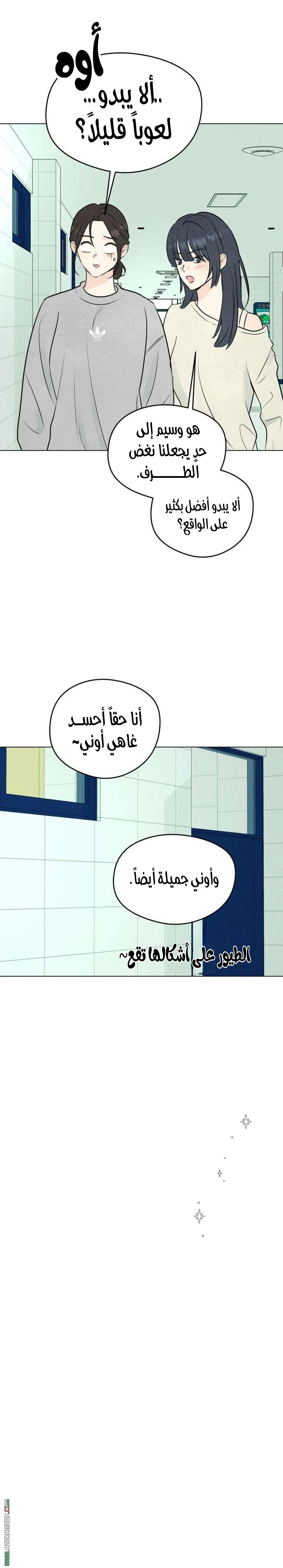 الصفحة 5