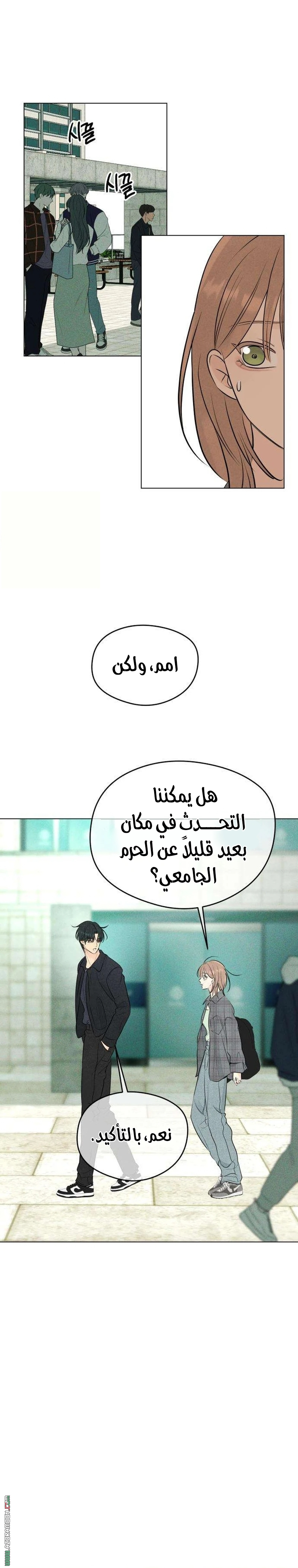 الصفحة 12