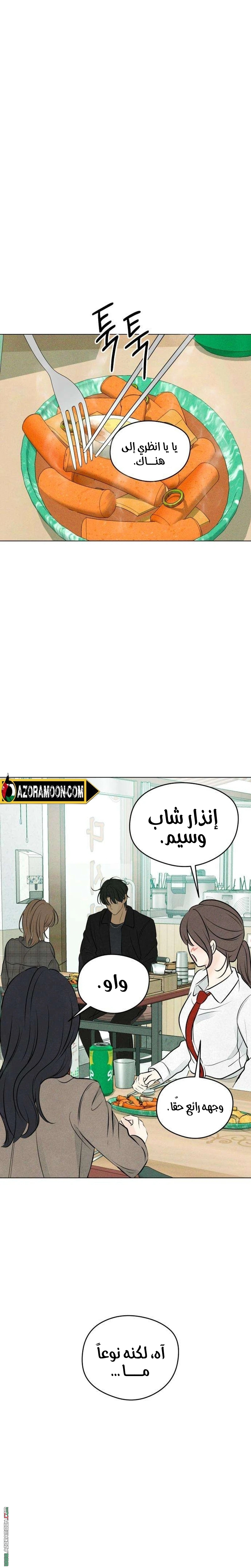 الصفحة 19