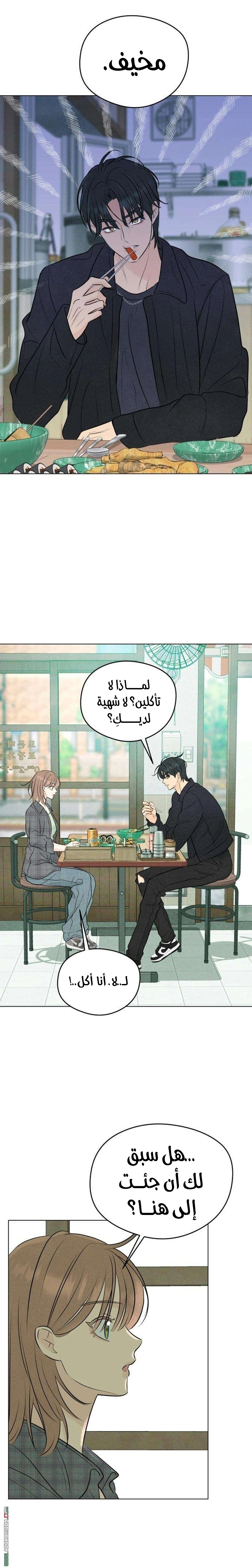 الصفحة 20