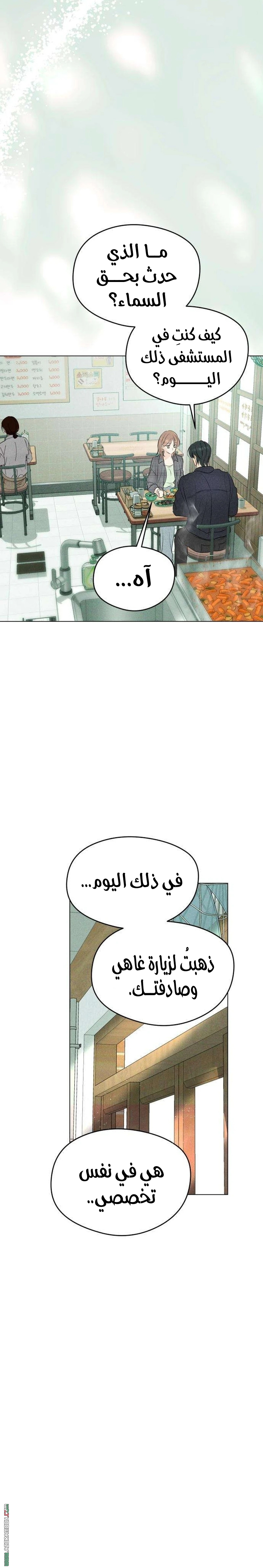 الصفحة 24