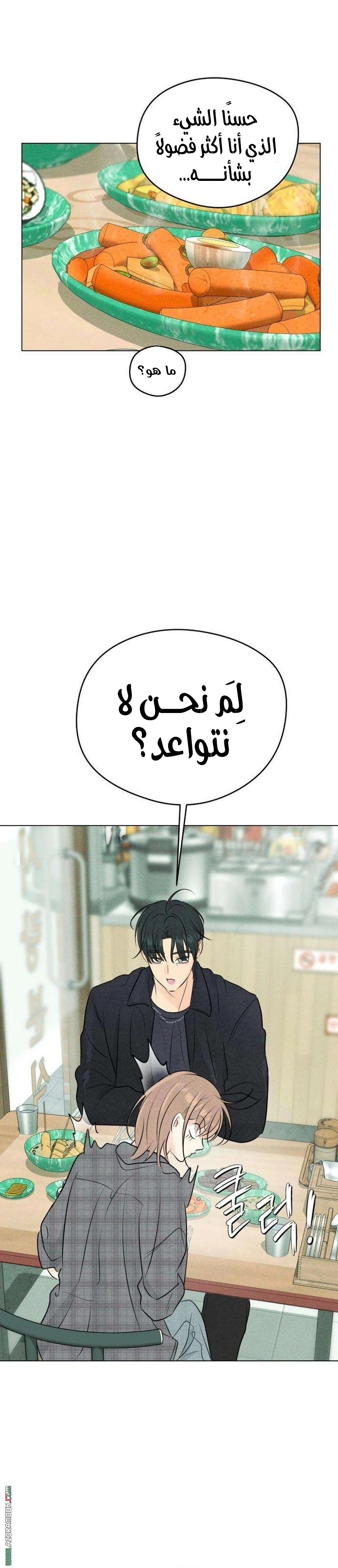الصفحة 26