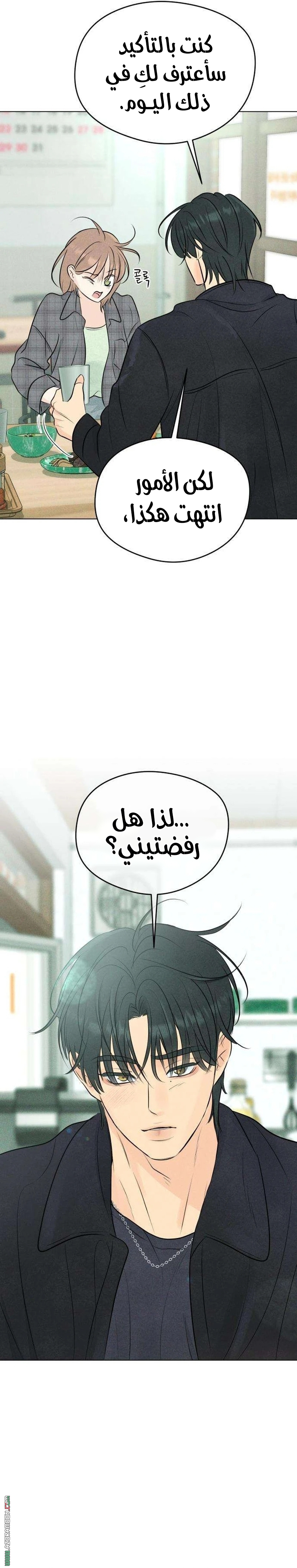 الصفحة 27