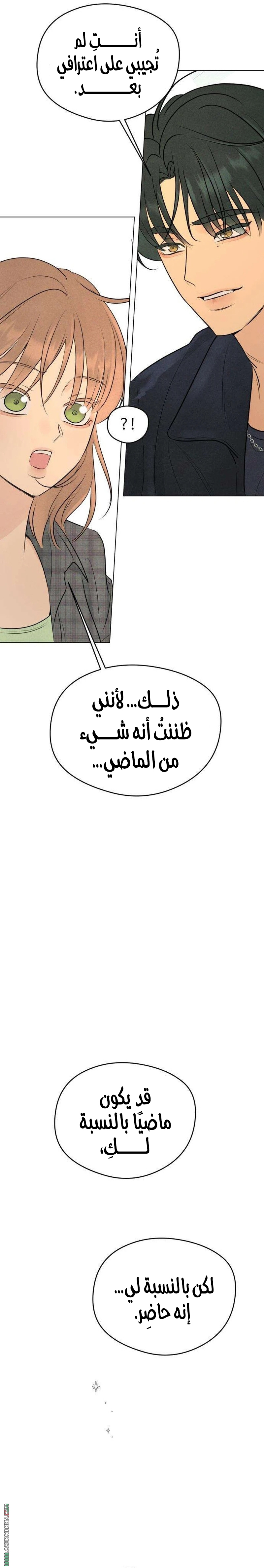 الصفحة 13