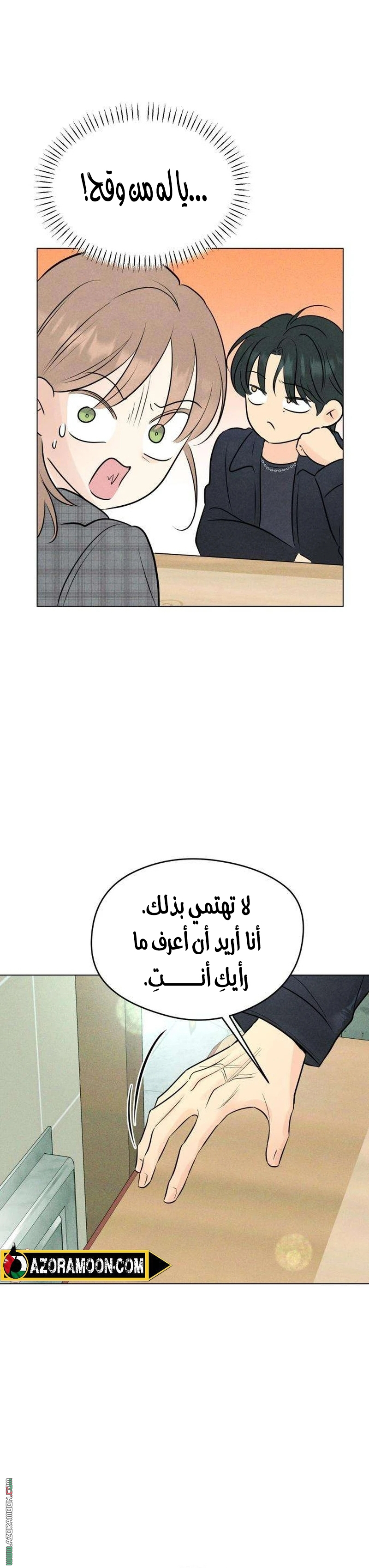 الصفحة 17
