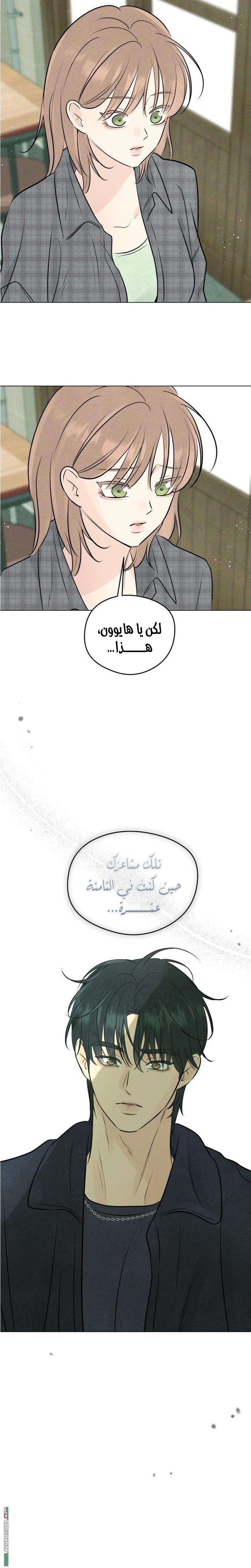 الصفحة 24
