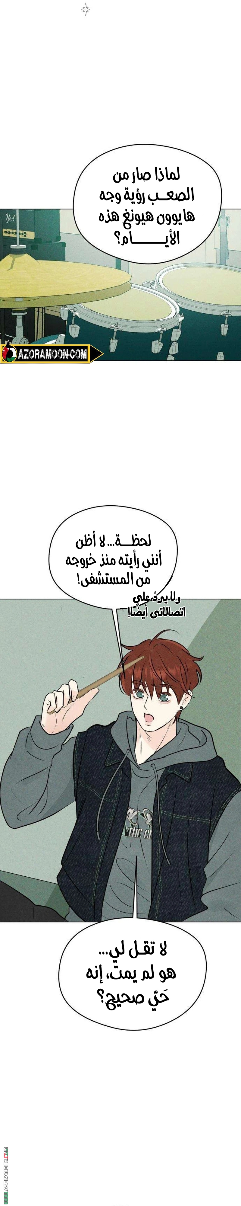 الصفحة 31