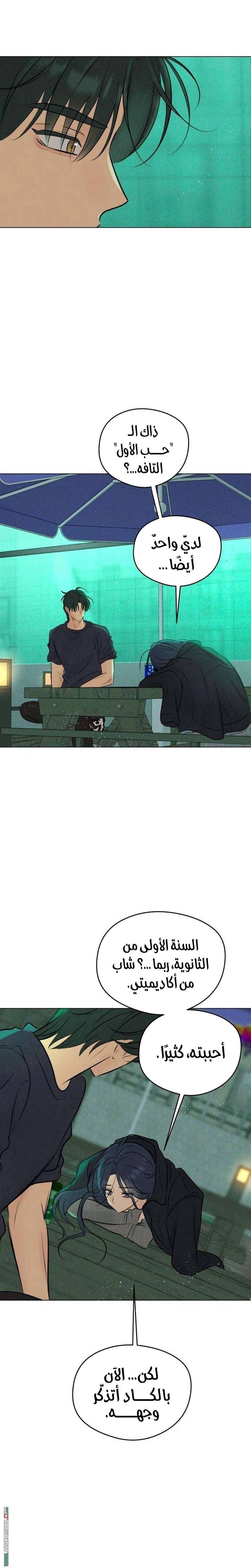 الصفحة 13
