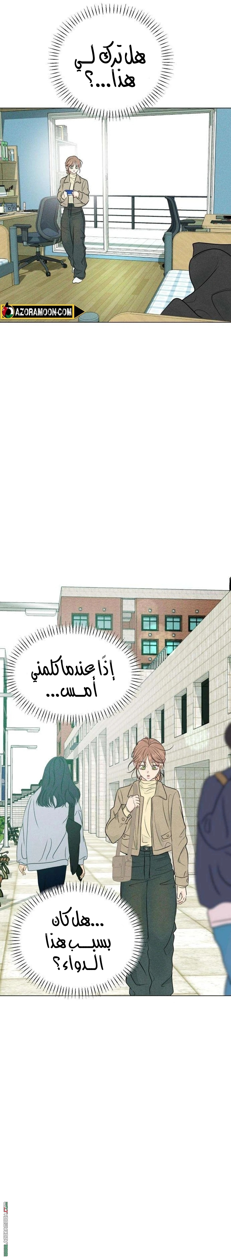 الصفحة 17
