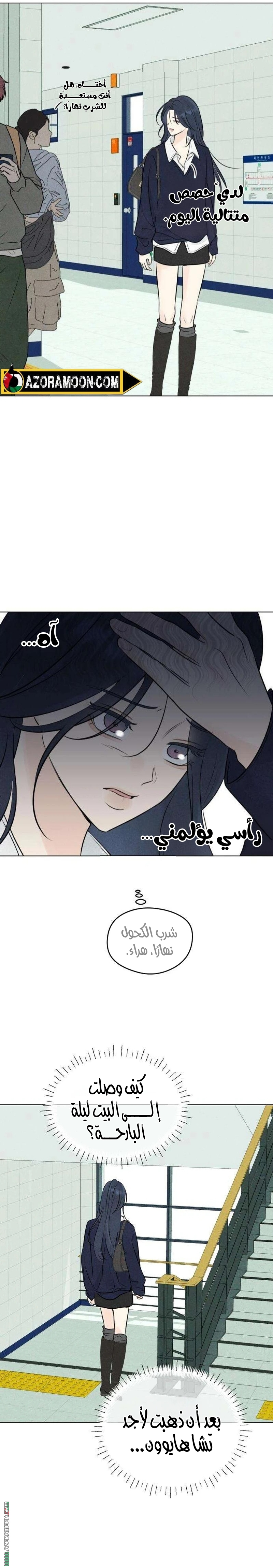 الصفحة 20