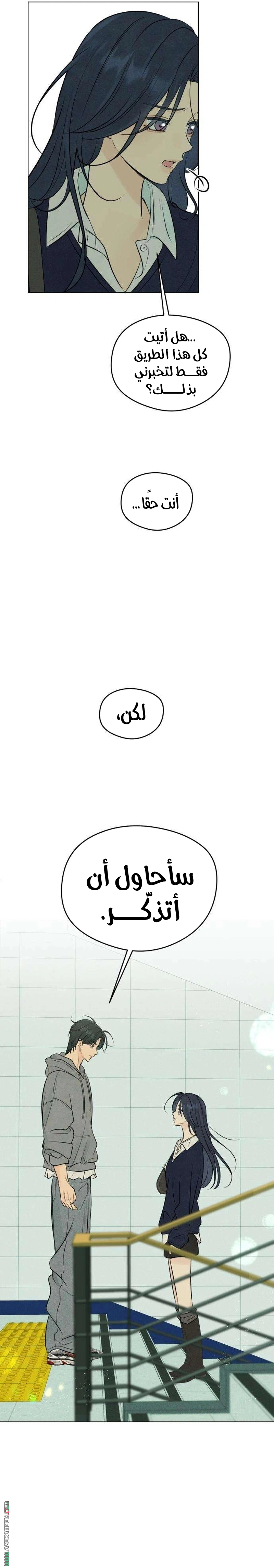 الصفحة 24